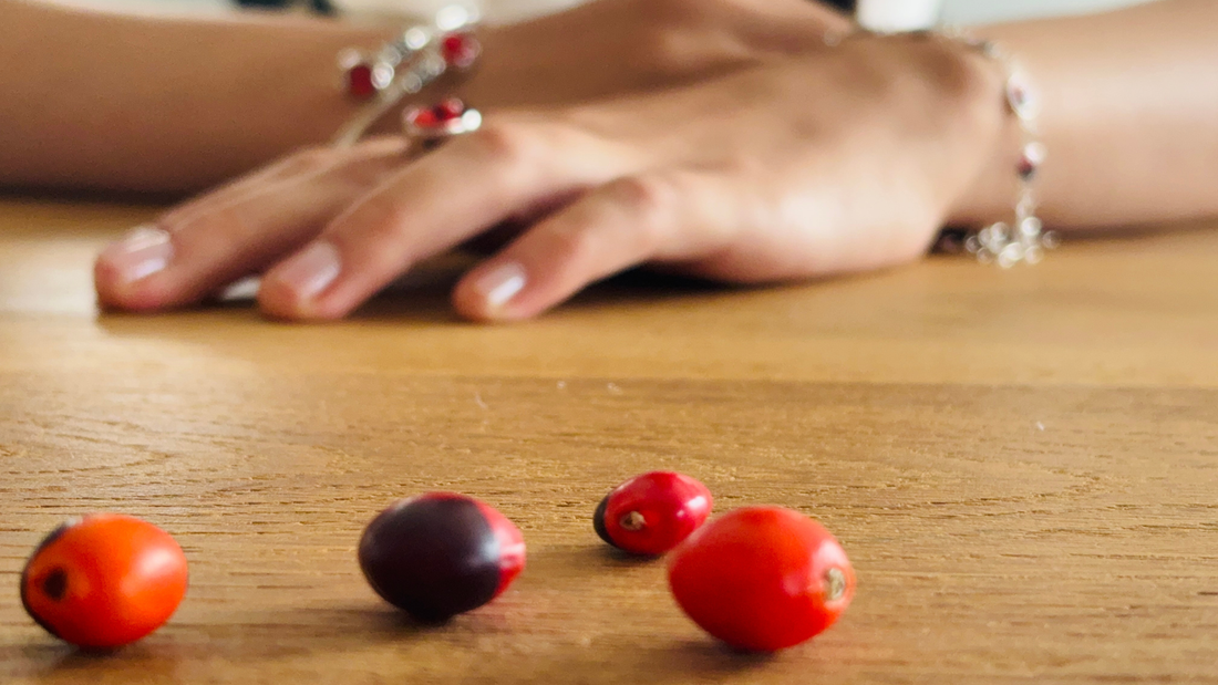 Graines de huayruro rouges et noires au premier plan avec bracelet en argent Cholita Nova en arrière-plan.