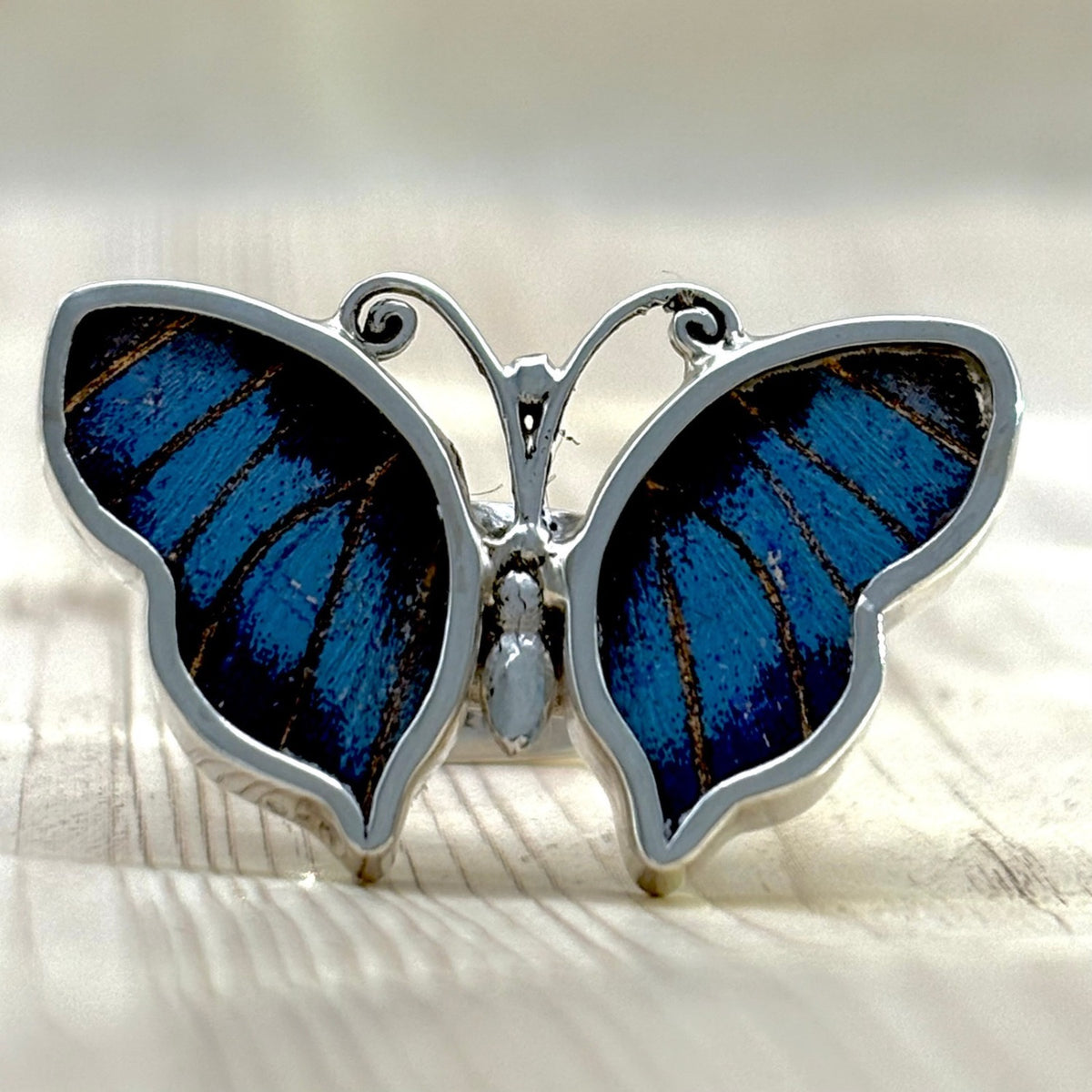 Bague Azura Bleu nuit en argent ajustable  – vue de face