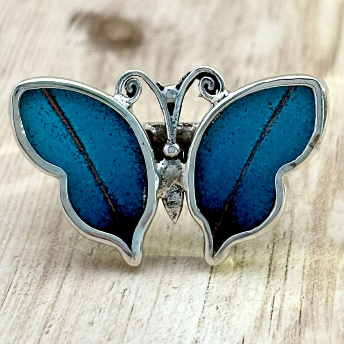 Bague Azura Bleu céleste en argent et ailes naturelles de papillon – vue de face