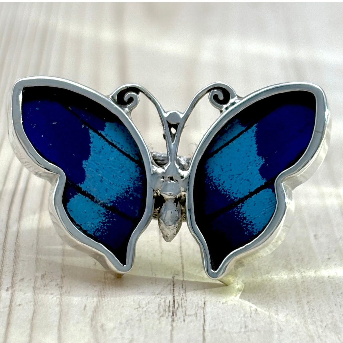 Bague Azura Bleu nuit en argent et ailes naturelles de papillon – ajustable