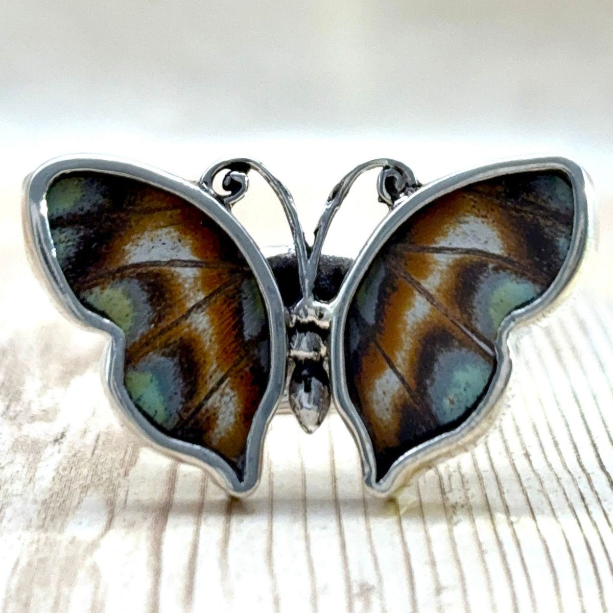Bague Azura Vert d’eau en argent et ailes naturelles de papillon – vue de face