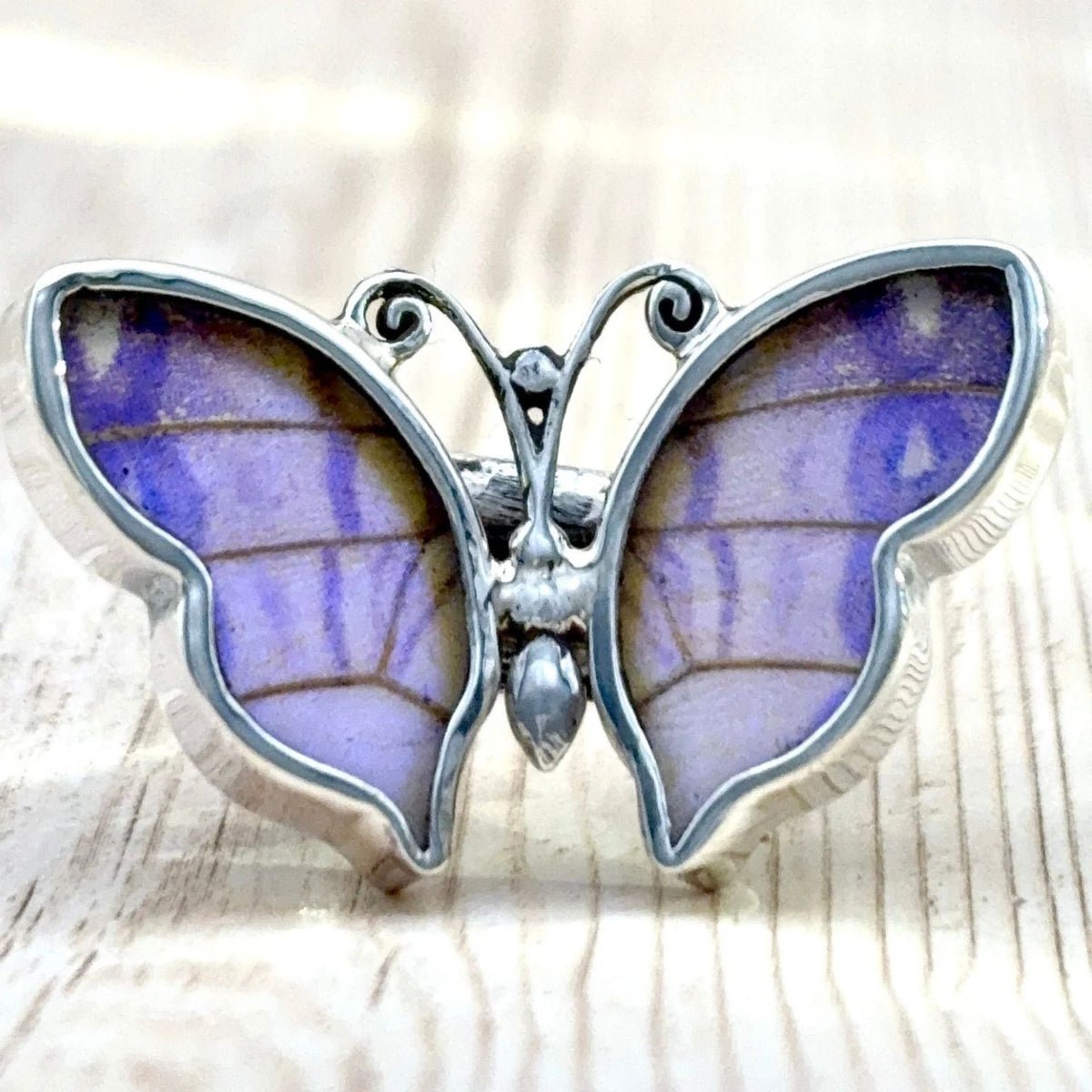 Bague Azura Violet irisé en argent et ailes naturelles de papillon – vue de face