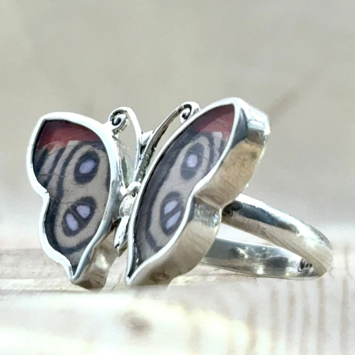 Bague Azura Rouge ocellé en argent – détail des ailes naturelles de papillon