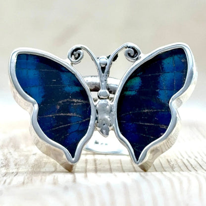 Bague Azura Bleu nuit en argent et ailes naturelles de papillon – vue de face
