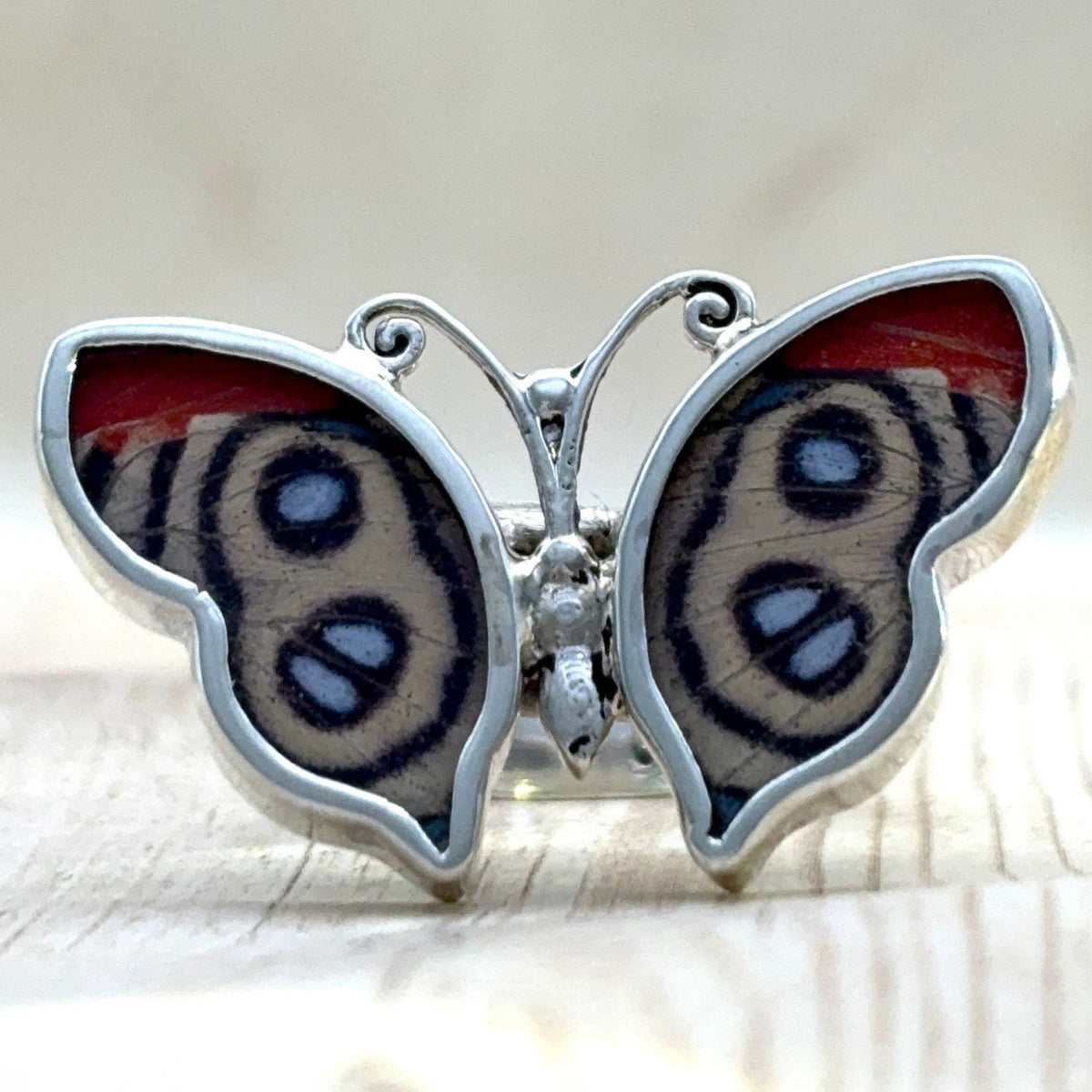 Bague Azura Rouge ocellé ajustable en argent et ailes naturelles de papillon