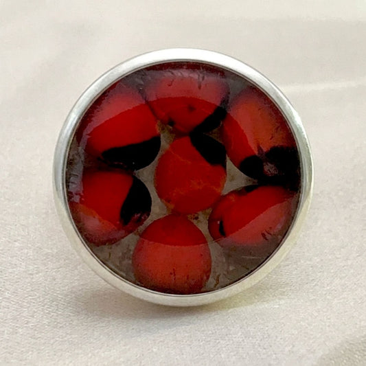 Bague Huayruro Cercle en argent et graines naturelles