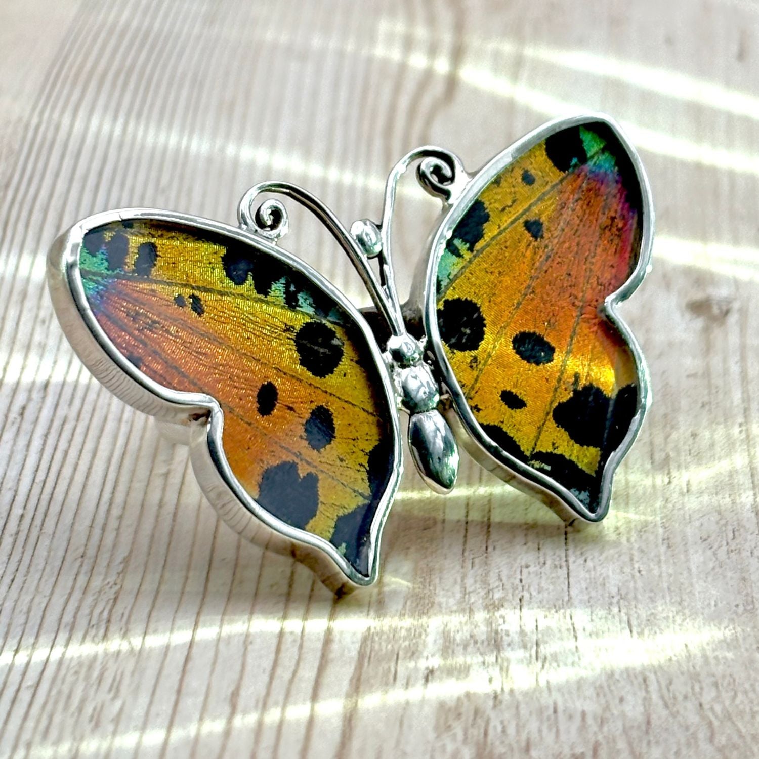 Bague Azura Majesté en argent avec ailes de papillon naturelles Ambre ocellé