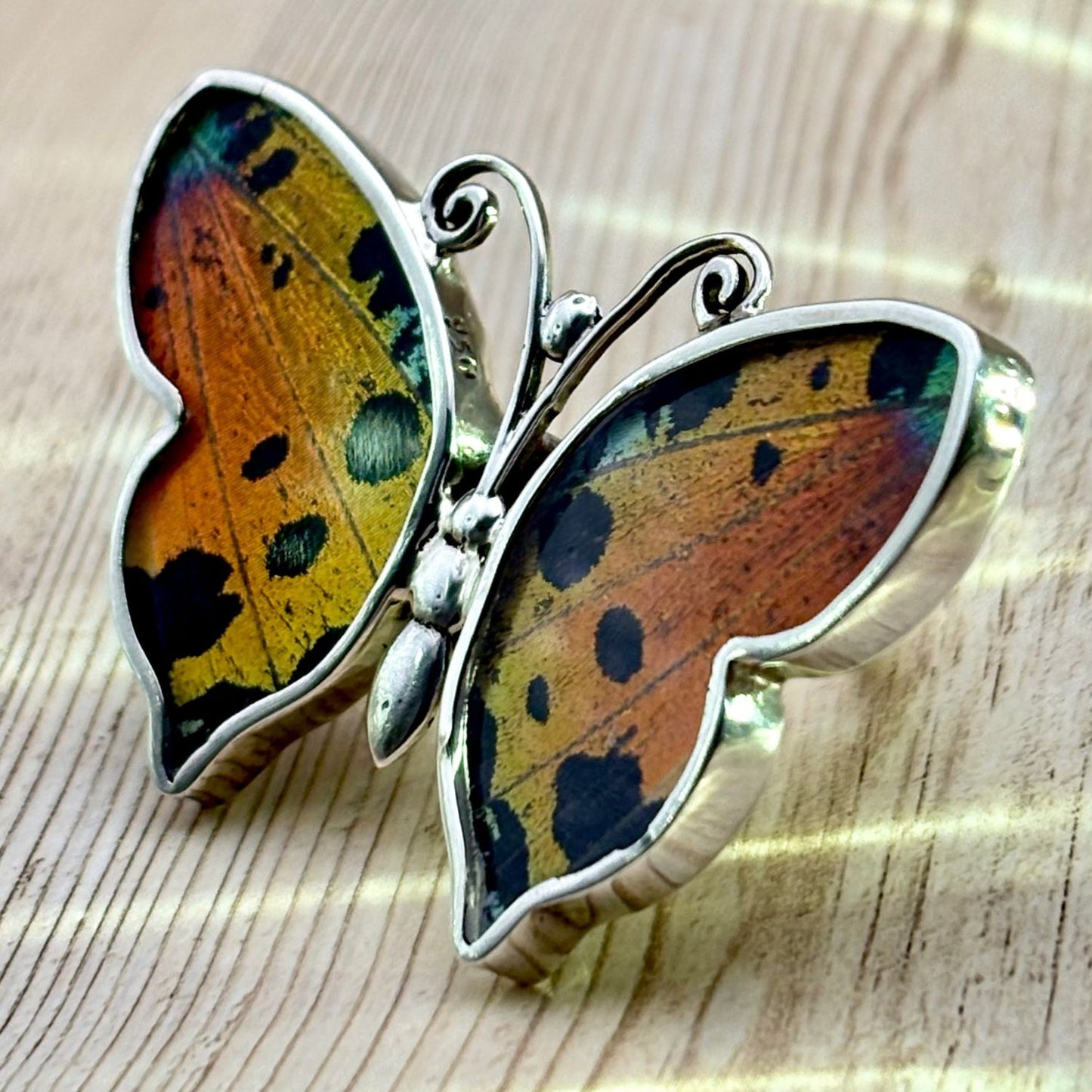 Bague Azura Majesté en argent avec ailes de papillon naturelles Ambre ocellé