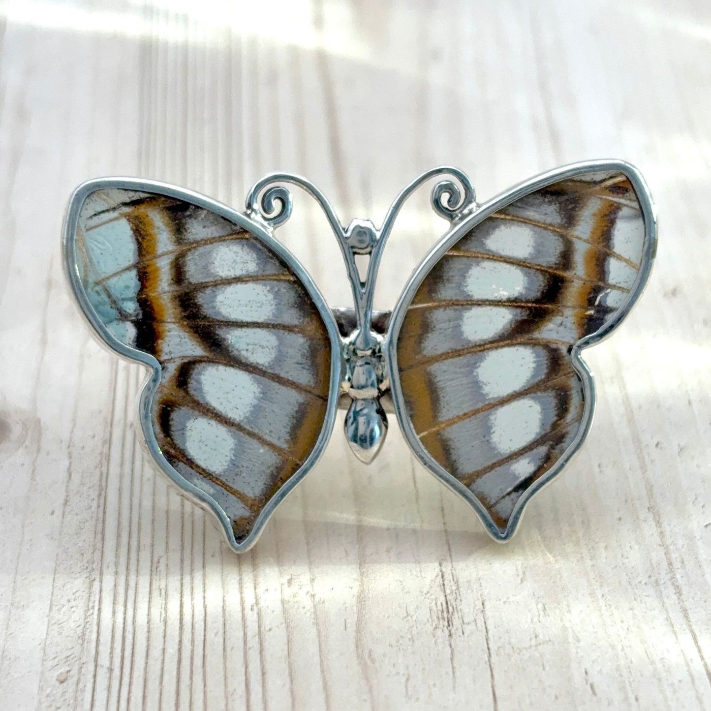 Bague Azura Majesté en argent avec ailes de papillon naturelles Nacré cristallin