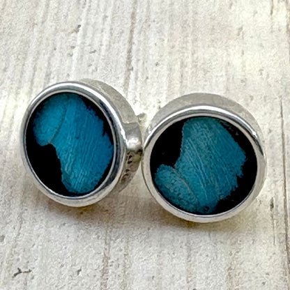 Boucles d’oreilles Azura Ronde en argent et véritables ailes de papillon – Bleu céleste