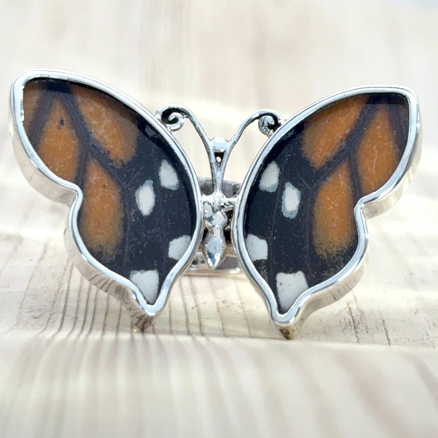 Grande Bague Azura en argent avec ailes de papillon naturelles Ambre nocturne