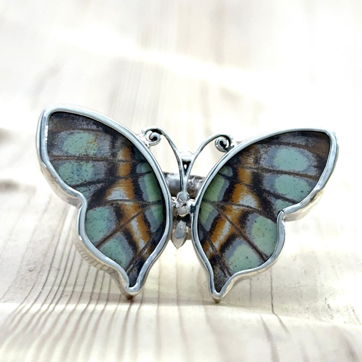 Grande Bague Azura en argent avec ailes de papillon naturelles Vert d’eau