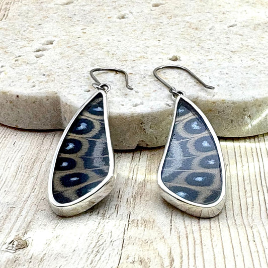 Grandes boucles d'oreilles Élyne en argent  avec véritables ailes de papillon brun ocellé.