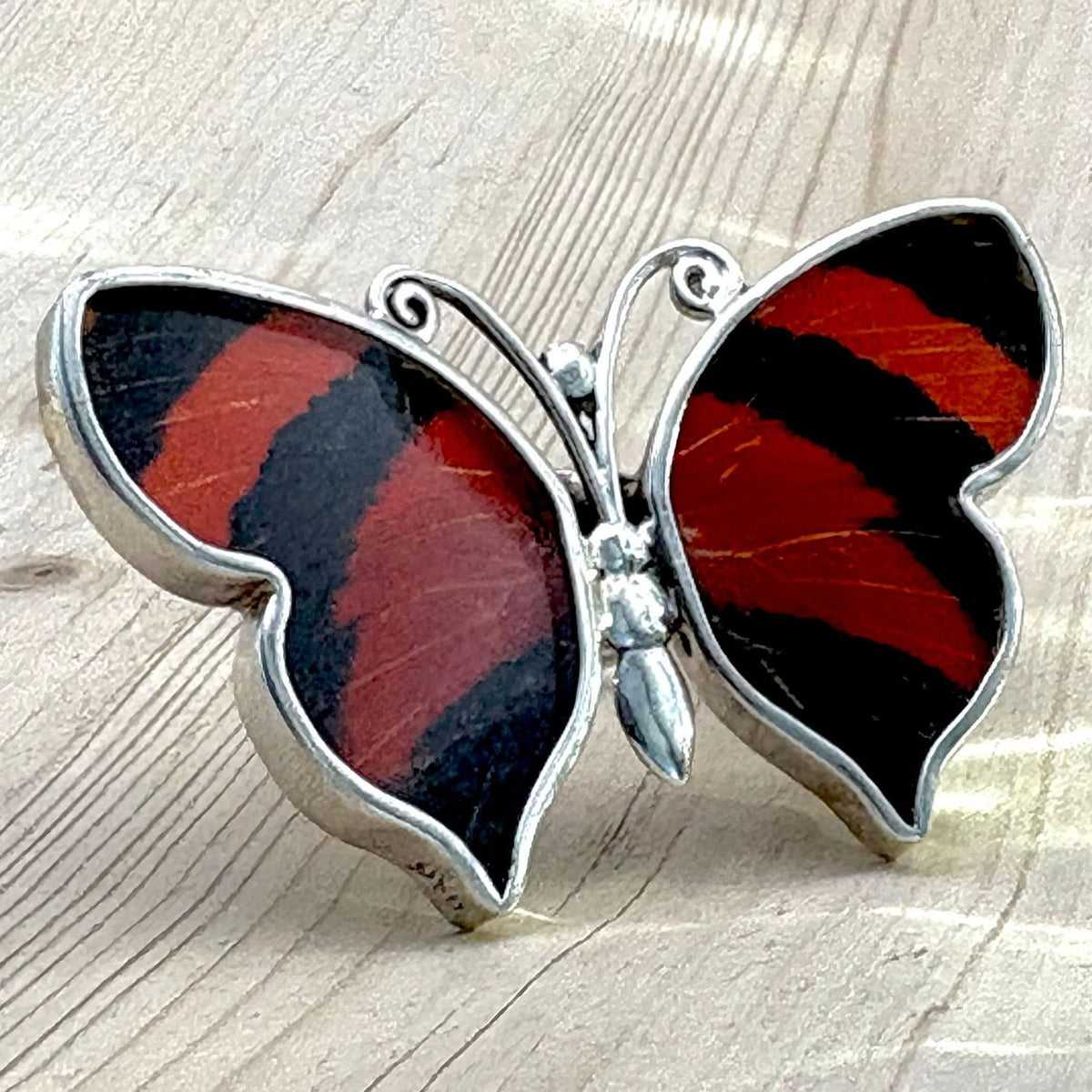 Bague Azura Majesté en argent avec ailes de papillon naturelles Rouge velours