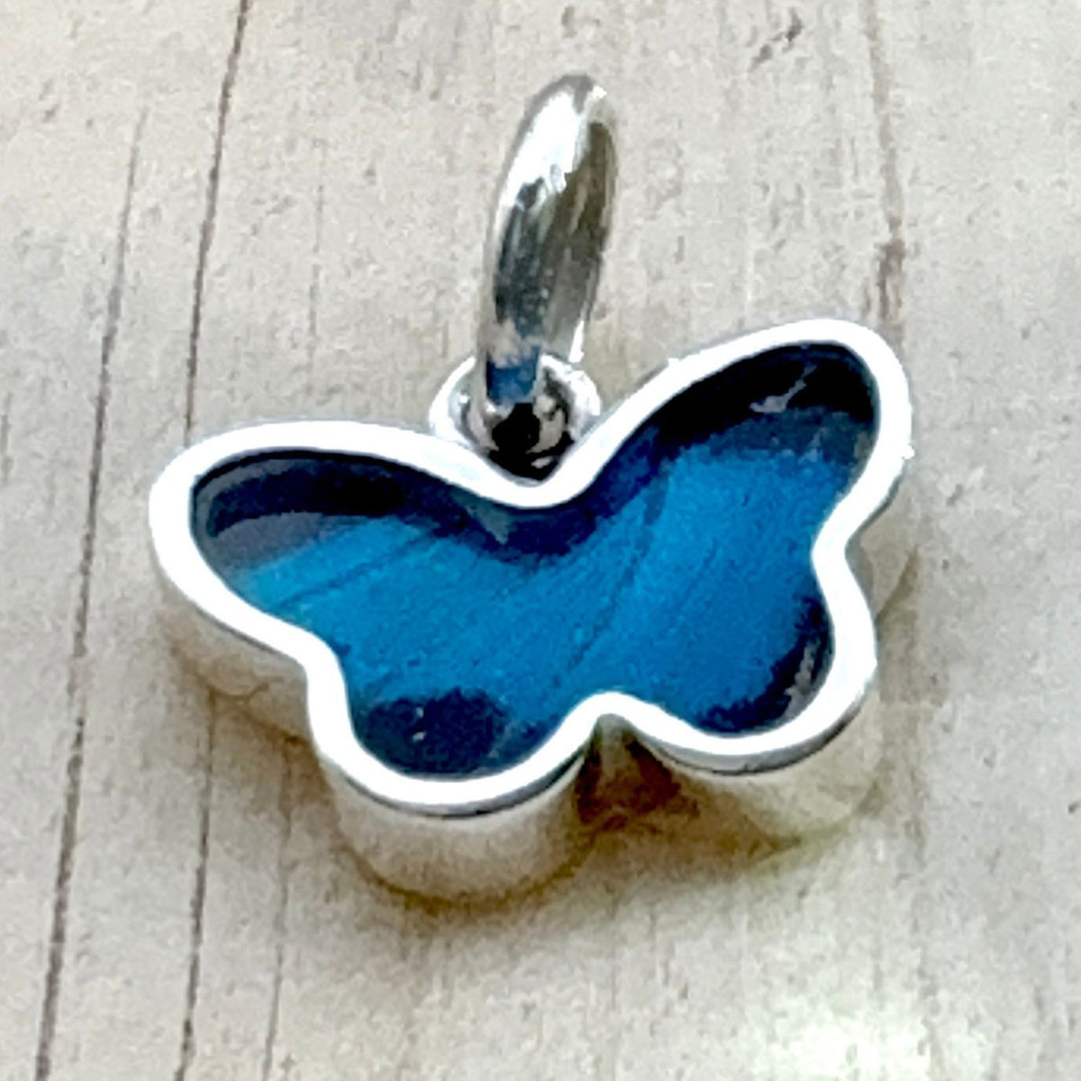 Pendentif Azura en argent avec véritable aile de papillon bleu céleste