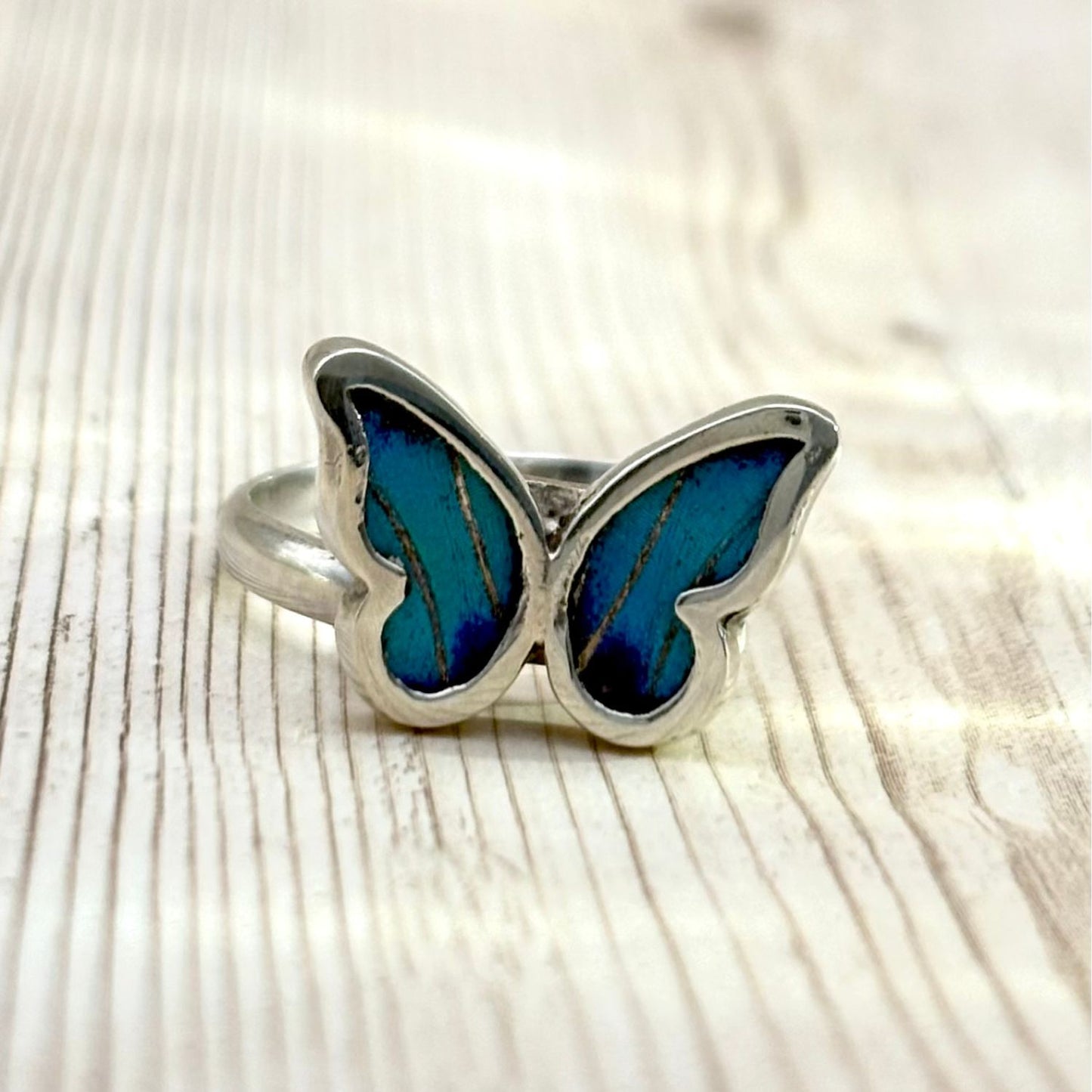 Petite Bague Azura en argent avec véritables ailes de papillon bleu céleste.