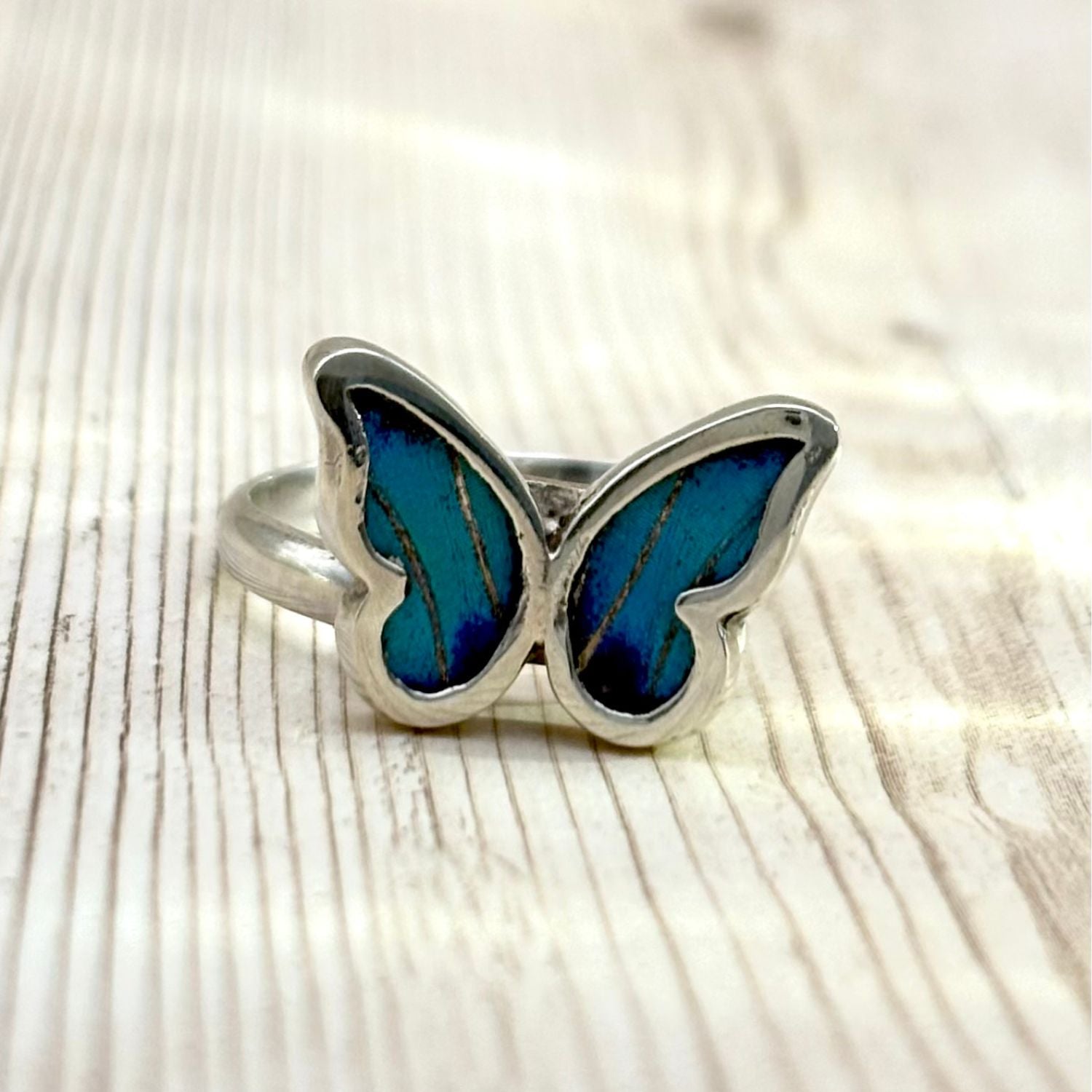 Petite Bague Azura en argent avec véritables ailes de papillon bleu céleste.