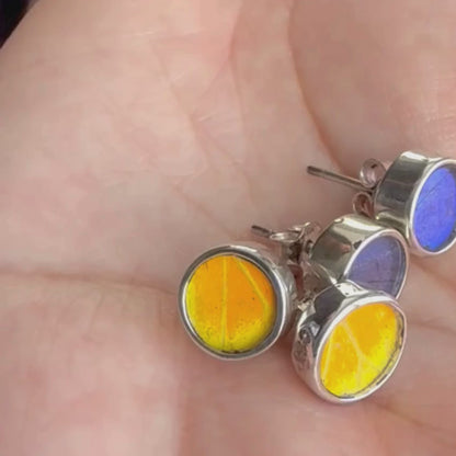 Vidéo des boucles d'oreilles rondes bleu profond et jeune doré en lumière naturelle 
