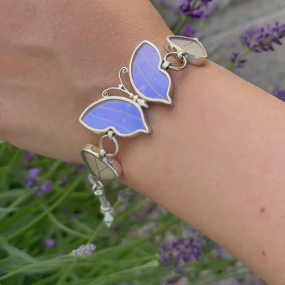 Vidéo du bracelet Lumira révélant les variations de couleur des ailes de papillon selon l'angle et la lumière. 
