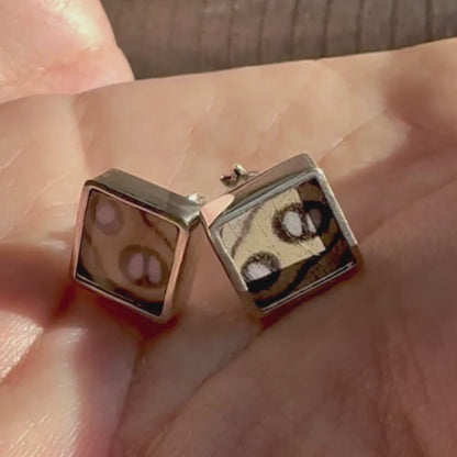 Vidéo des boucles d’oreilles Azura Ocellé 